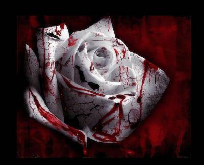le souffle d'un amour